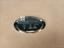 Picture of Car Universal VIP Egg Chrome
