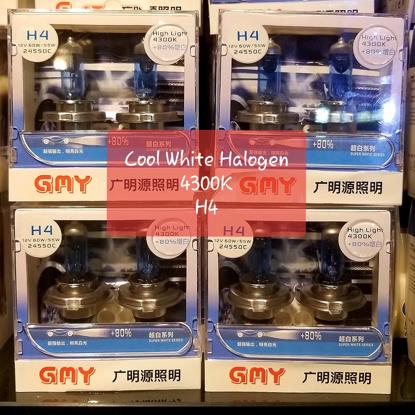 Picture of Halogen Bulb in Cool White Light 4300K