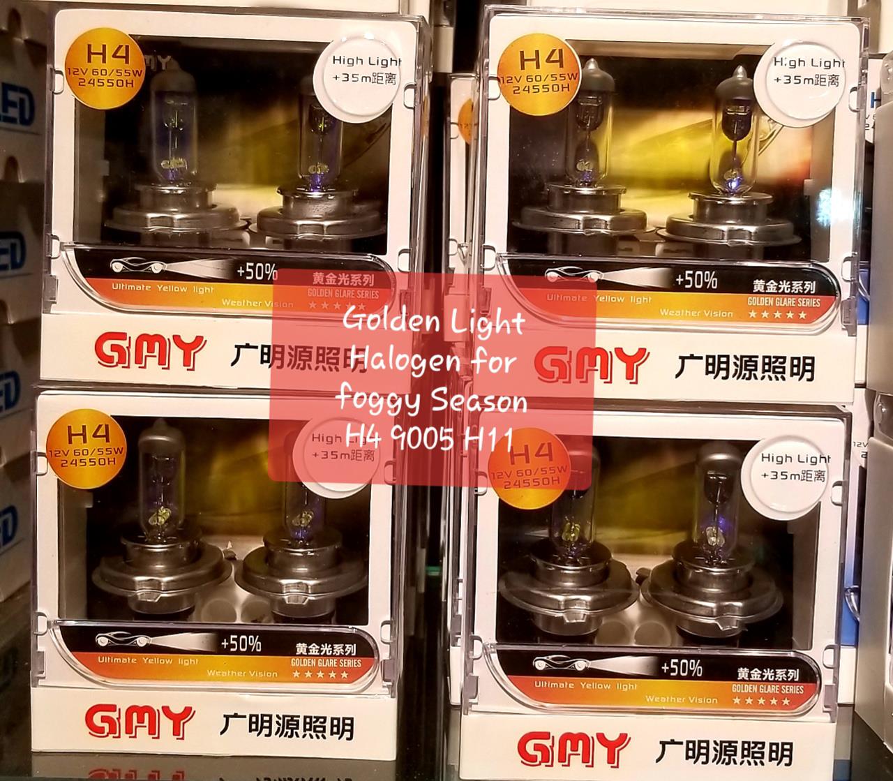 Picture of Halogen Bulb in Golden Light for Foggy Season