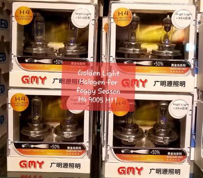 Picture of Halogen Bulb in Golden Light for Foggy Season