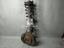 Picture of Mitsubishi Lancer 2005-20 Complete Shock