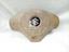 Picture of Suzuki Alto 660cc 2012 Steering Air Bag