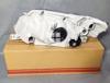 Picture of Toyota Corolla Axio 2007 Headlight