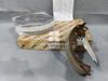 Picture of Toyota Hilux Vigo Champ 2012 Rear Brake Shoe