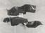 Picture of Suzuki Old Cultus Engine Shield Set.