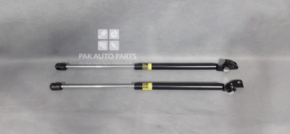 Picture of Hyundai Santro Trunk (Diggi) Shocks