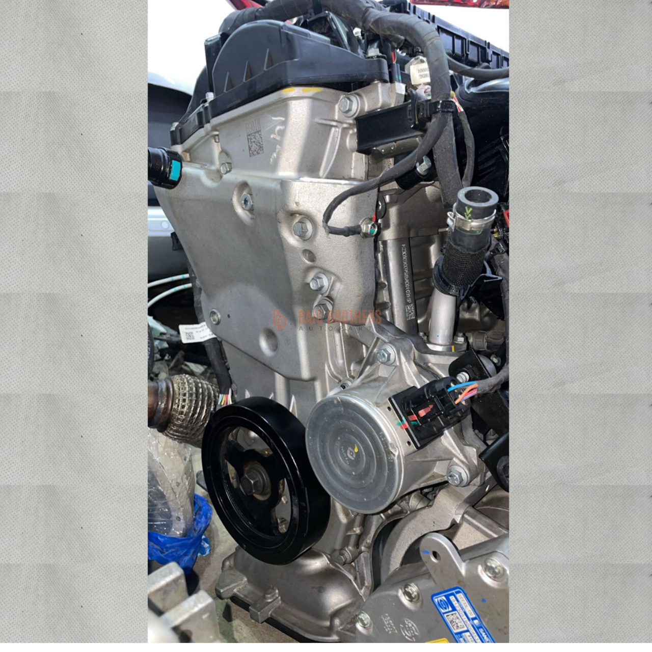 Picture of Haval Jolion HEV 2022-2025 Timing Plate