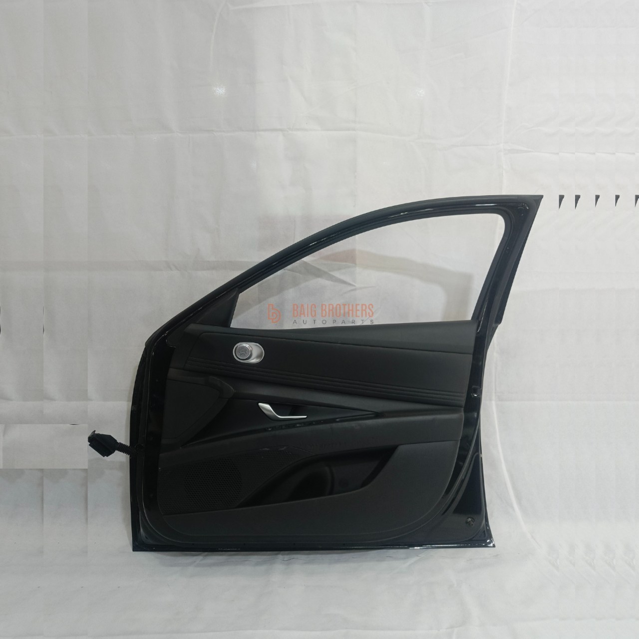 Picture of Hyundai Elantra Hybrid 2025-2026 Right Front Door Liner