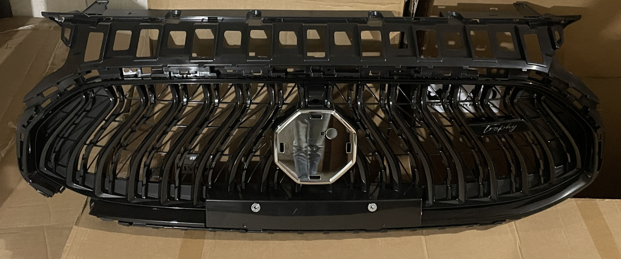 Picture of MG HS PHEV Trophy 2024-25 Front Show Grill (Facelift)